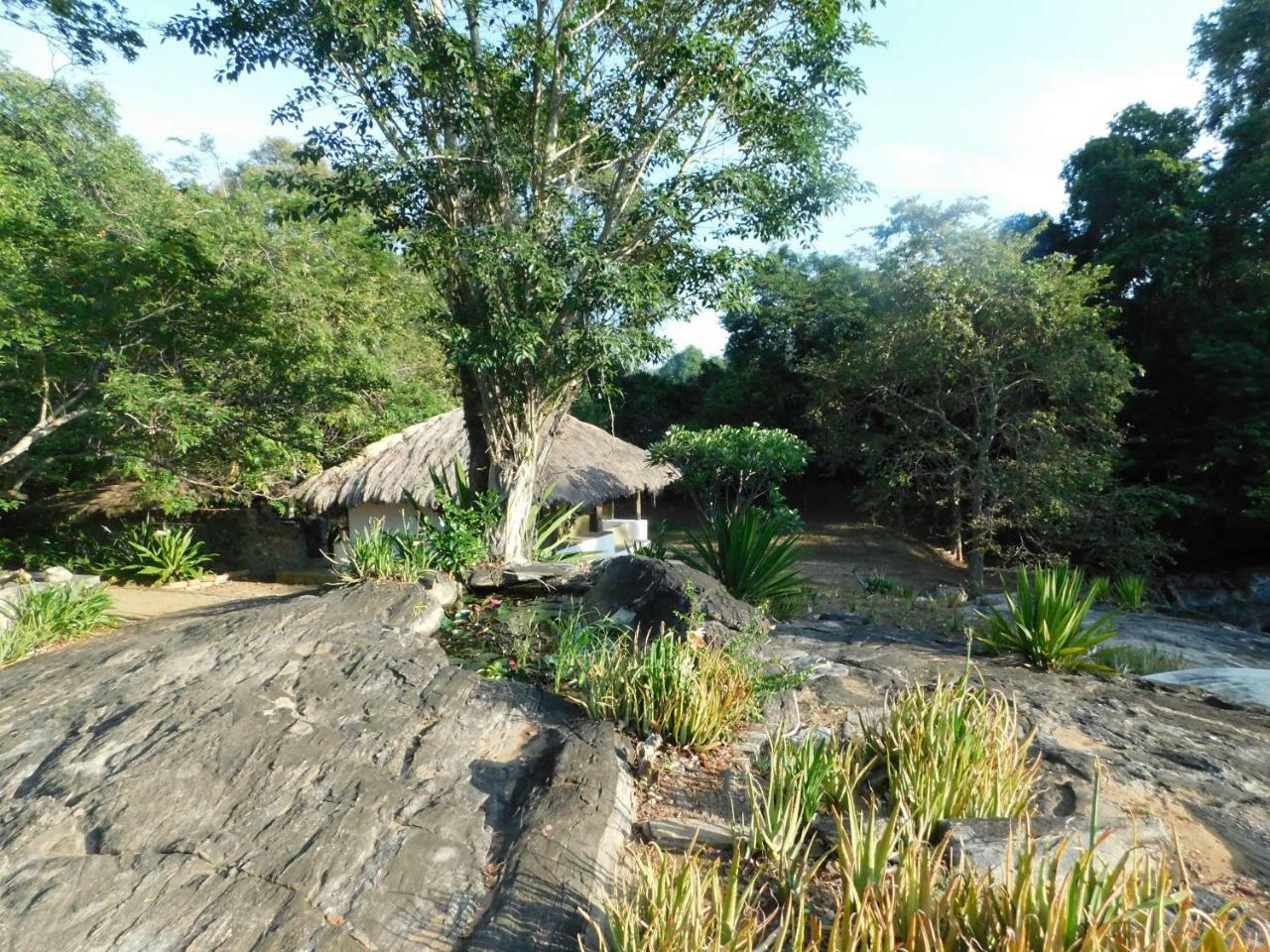 Galapita Eco Lodge Buttala Rum bild