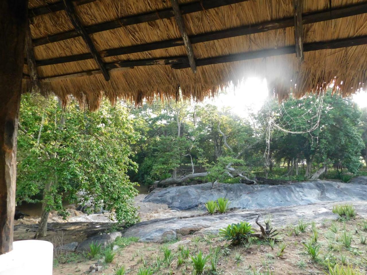 Galapita Eco Lodge Buttala Rum bild