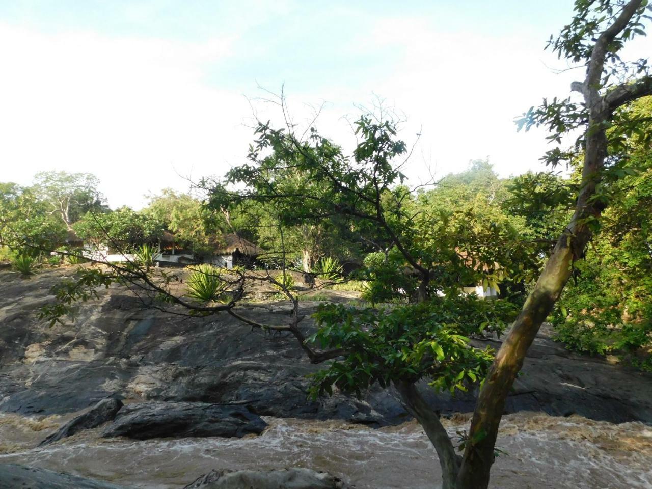 Galapita Eco Lodge Buttala Rum bild