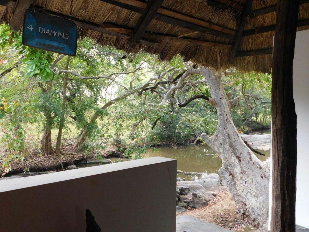 Galapita Eco Lodge Buttala Rum bild