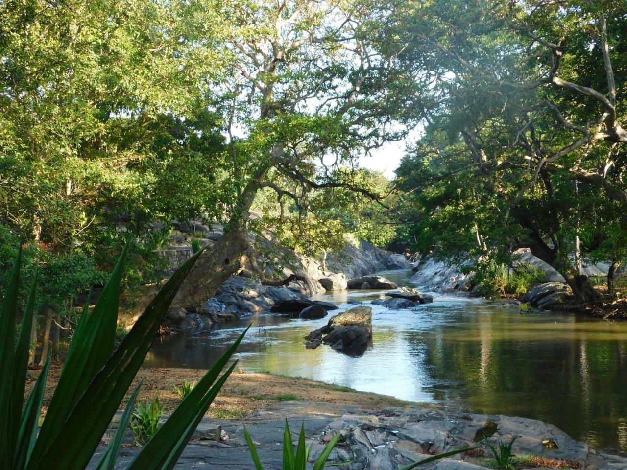 Galapita Eco Lodge Buttala Exteriör bild