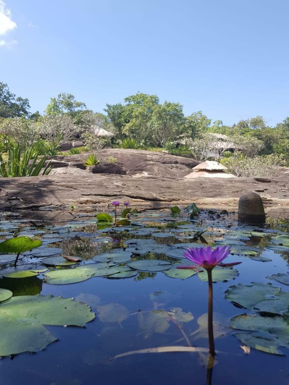 Galapita Eco Lodge Buttala Exteriör bild