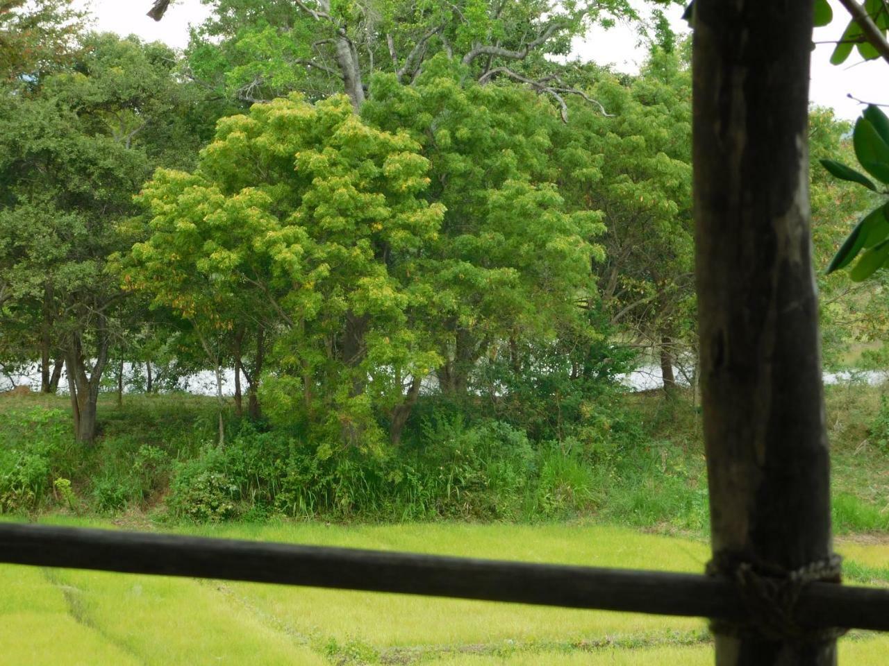 Galapita Eco Lodge Buttala Exteriör bild